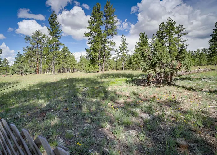 Forest-front W/ Atv Access Holiday home