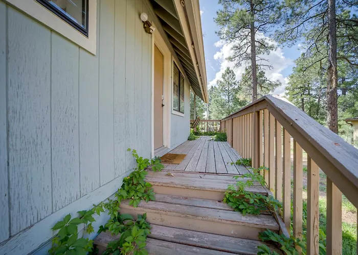 Forest-front W/ Atv Access Holiday home *